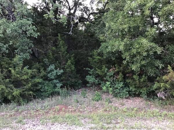 Whitney, TX 76692,44021 Fringewood Drive