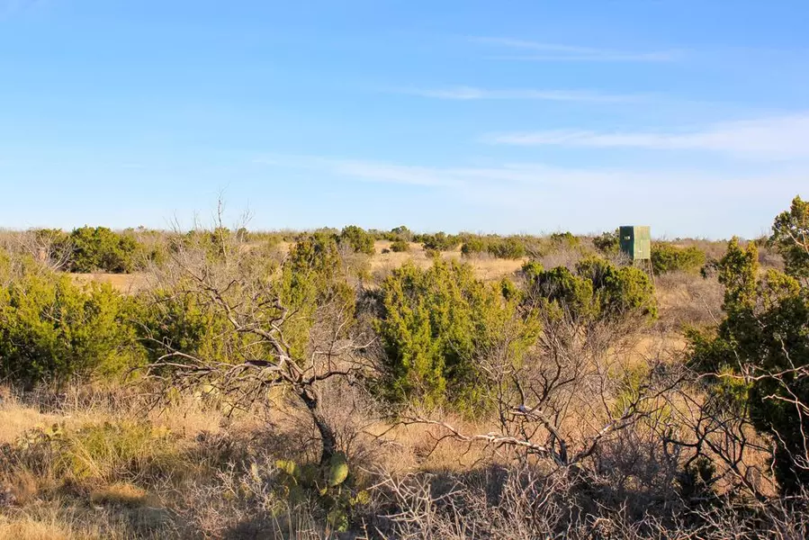 0 Meadow Lane, Ozona, TX 76943