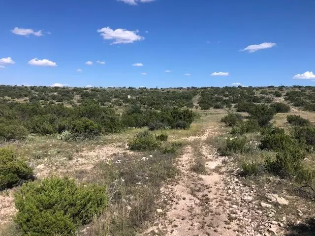 2690 Mule Deer Trail, Ozona, TX 76943