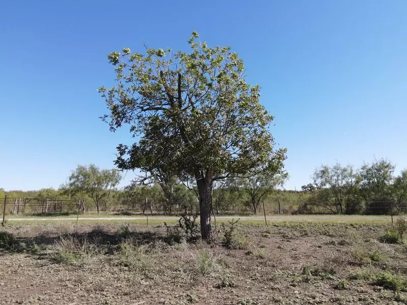 N/A Other, Mertzon, TX 76941