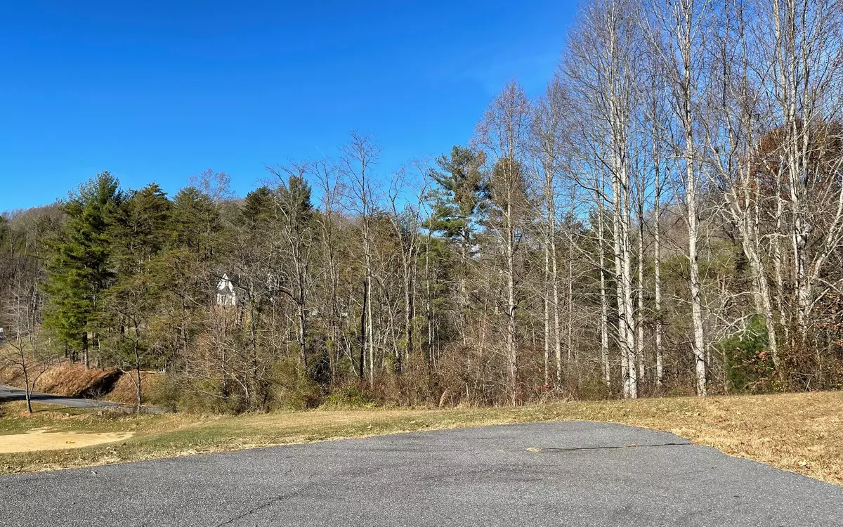 Hayesville, NC 28904,133A Mountain Harbour Drive