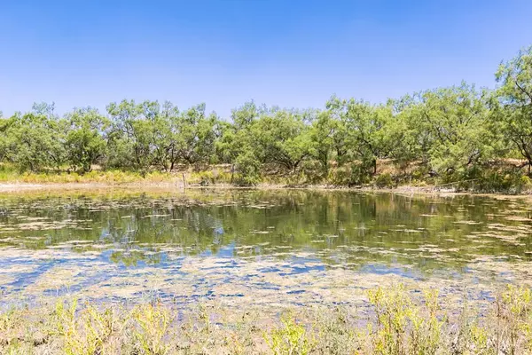 0 County Rd 374,  Talpa,  TX 76882