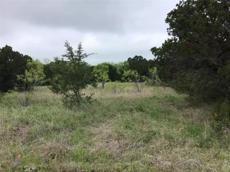 44163 High Crest Drive, Whitney, TX 76692