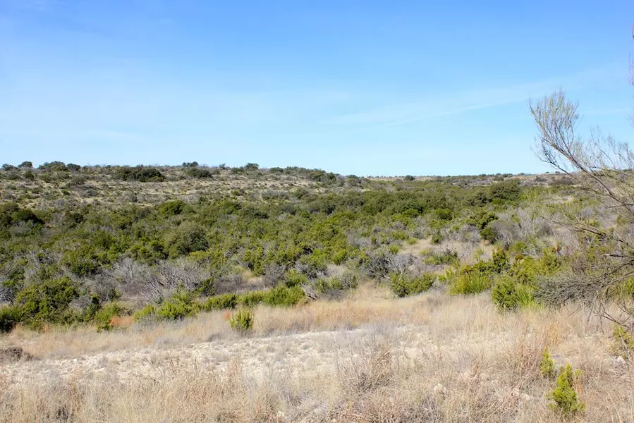 105 Shepherds Trail, Ozona, TX 76943