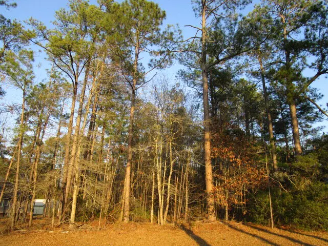 Santee, SC 29142,Lot 15 Pinewood Dr