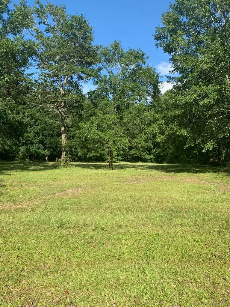 Manning, SC 29102,tbd Sportsman Drive