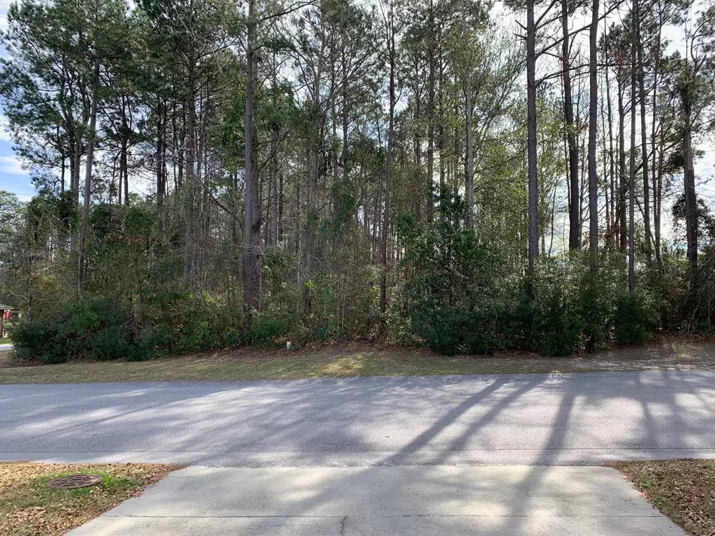 Manning, SC 29102,1216 Longleaf Drive