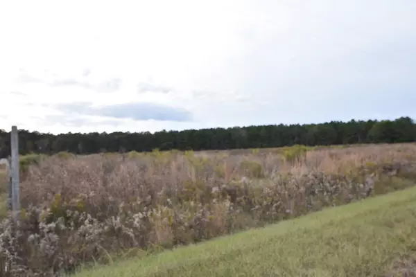 Bishopville, SC 29010,Lot 21 Bullrun Rd