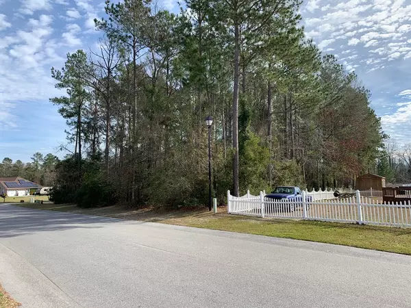 Manning, SC 29102,1216 Longleaf Drive