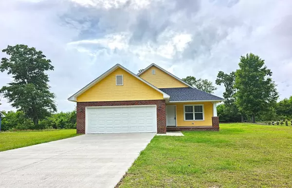 1599 Lemon Ave, Manning, SC 29102