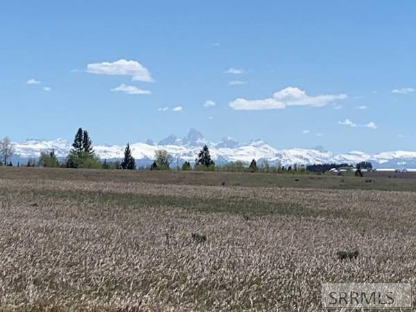 1563 E Rim Loop Road, Ashton, ID 83420