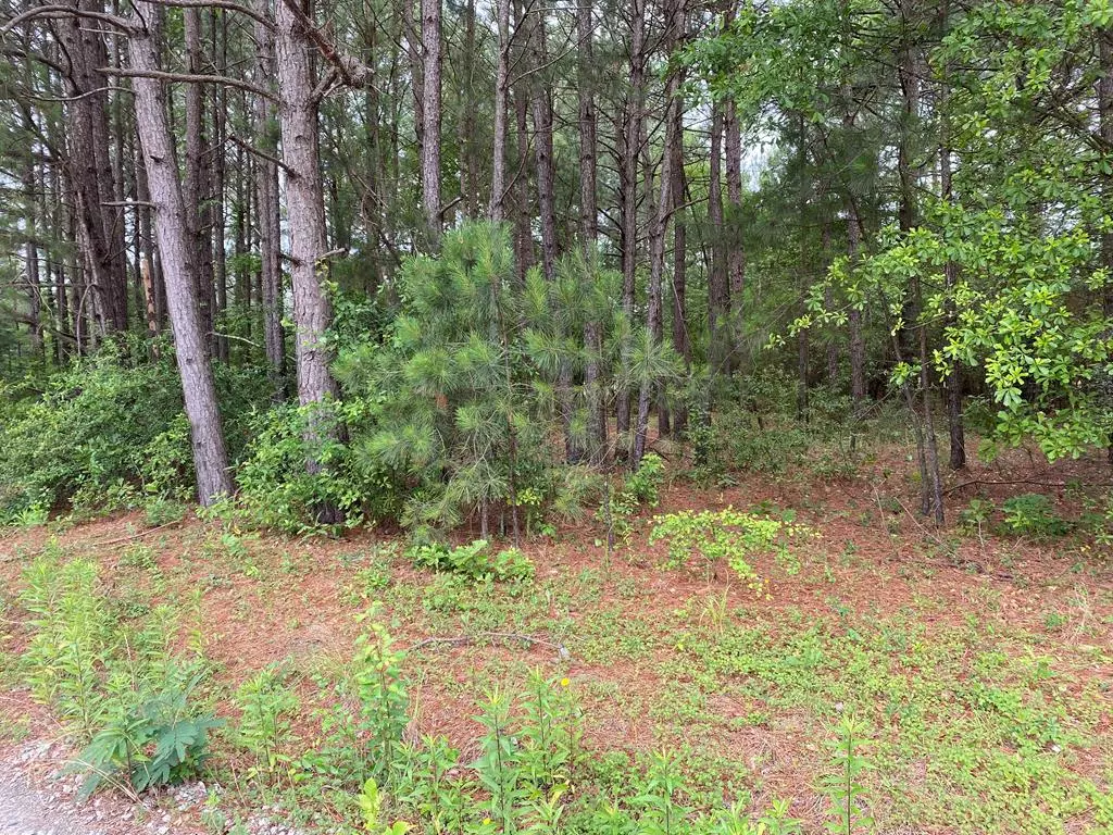 Wedgefield, SC 29168,1500 HIDDEN OAKS/1380 CIR