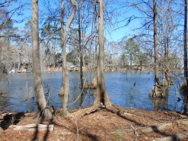 Elloree, SC 29047,Lot 10 Parklin Lane