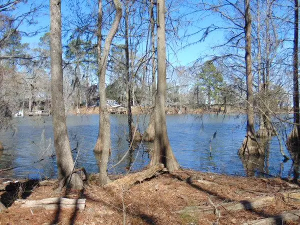 Lot 10 Parklin Lane,  Elloree,  SC 29047