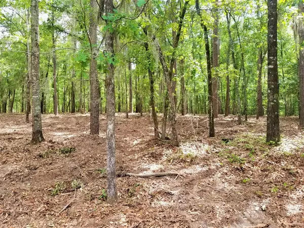 Elloree, SC 29047,Lot 10 Parklin Lane