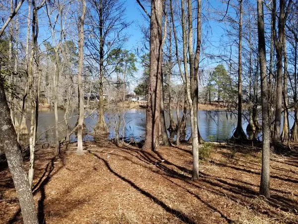 Elloree, SC 29047,Lot 10 Parklin Lane