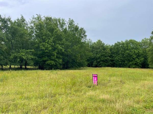 Blossom, TX 75416,Lot 12 PR 44005 #Lot 12