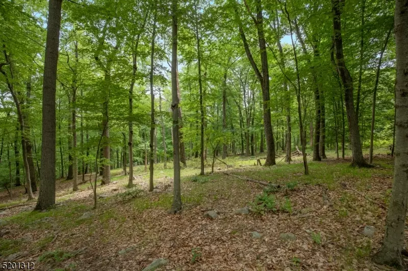28-1 Post Kennel Rd, Bernardsville Boro, NJ 07931