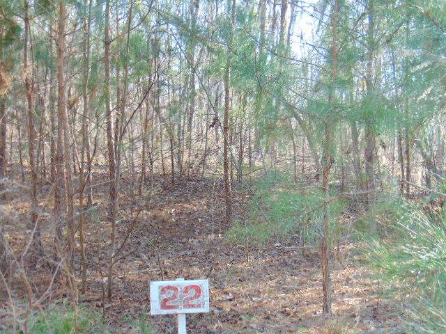 22 Parklin Lane, Elloree, SC 29047