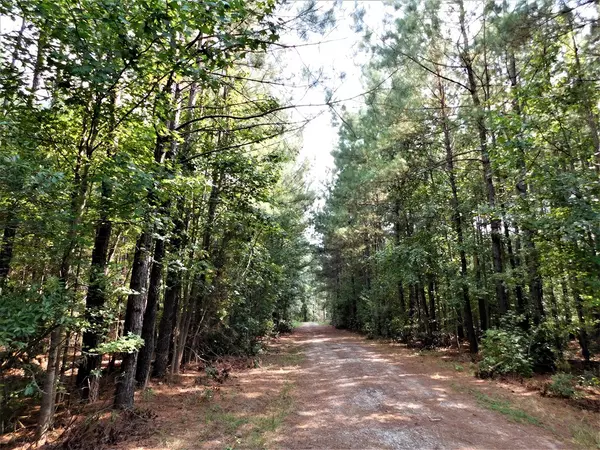 Gable, SC 29051,TBD Skinner Road