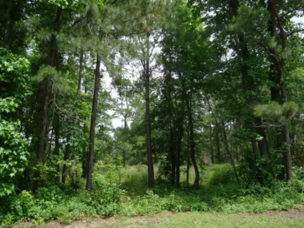 Lot 5 Glenwood Drive, Manning, SC 29102