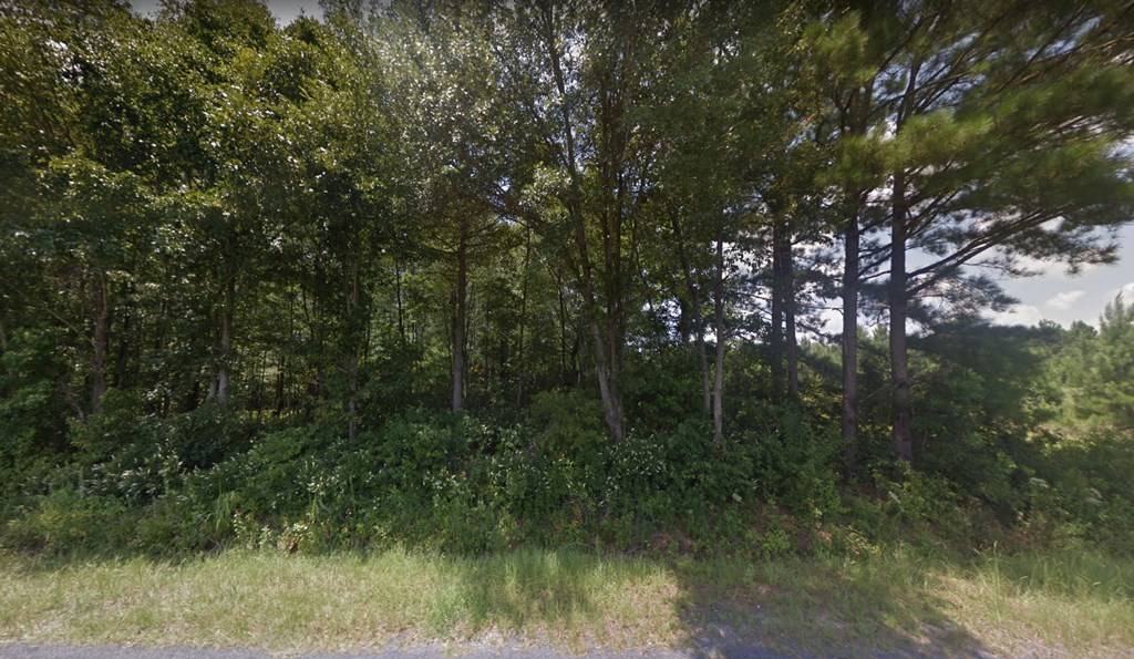 Manning, SC 29102,TBD South Brewington Road