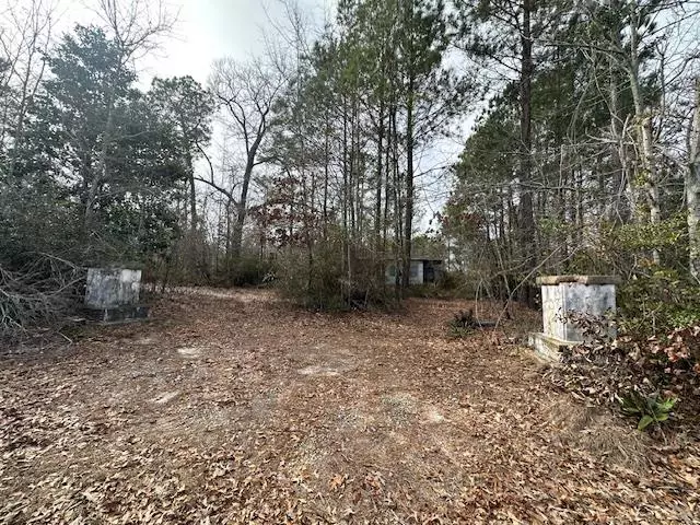 Manning, SC 29102,1229 Lemon Avenue