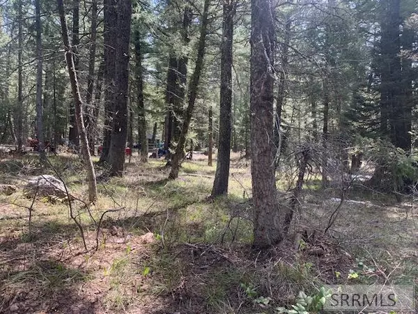 Island Park, ID 83429,4176 Pine Crest Drive