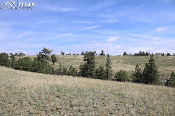 Hartsel, CO 80449,120 County Road 11