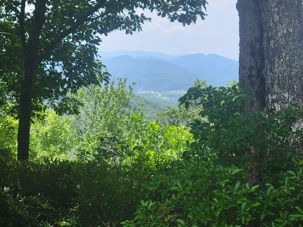 Hayesville, NC 28904,Lot 24 Double Knob Drive E