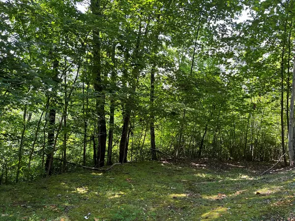 Hayesville, NC 28904,Lot 24 Double Knob Drive E