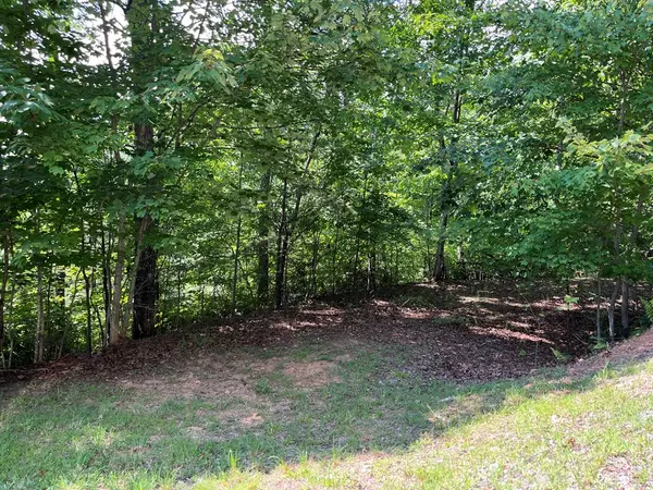 Hayesville, NC 28904,Lot 24 Double Knob Drive E