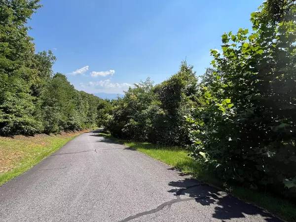 Hayesville, NC 28904,Lot #26 Double Knob Drive E