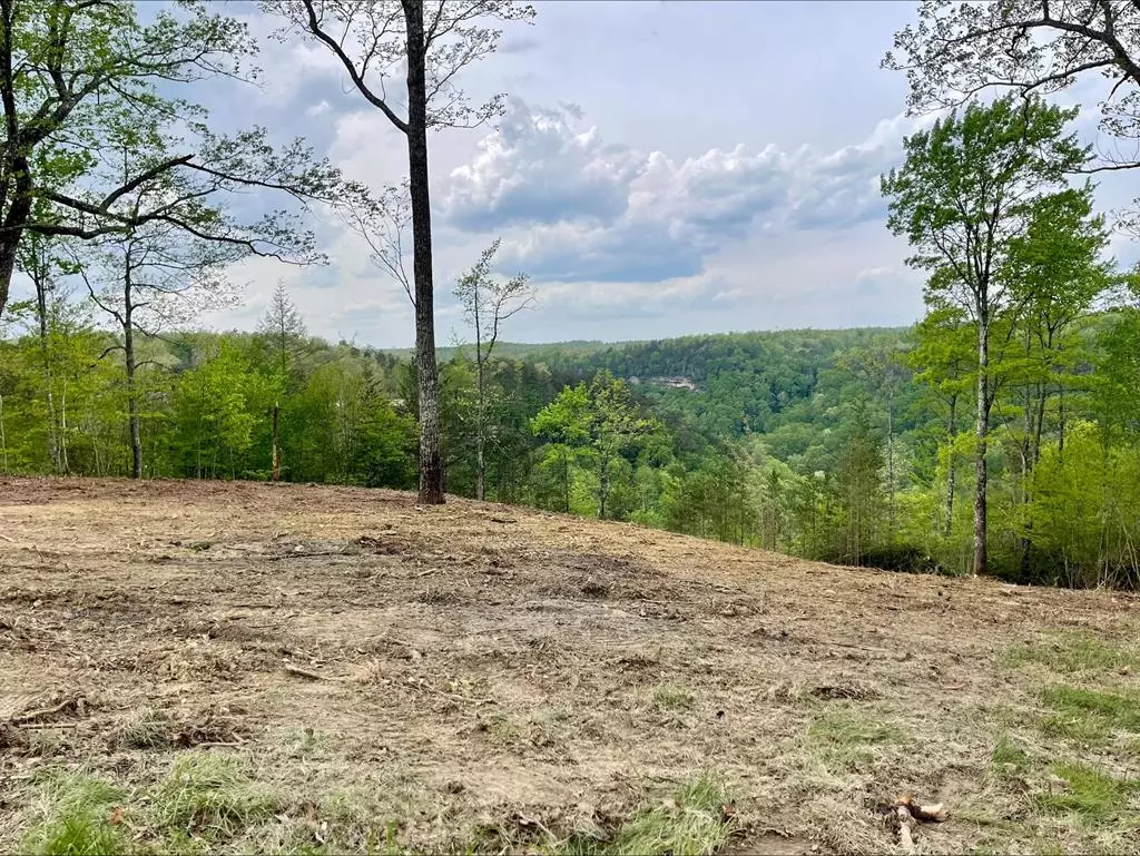 Jamestown, TN 38556,Lot 51 Grandview Way