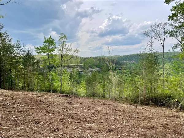 Jamestown, TN 38556,Lot 51 Grandview Way