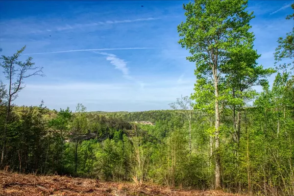 Jamestown, TN 38556,Lot 51 Grandview Way