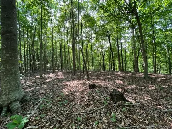 10.97 AC H R Huffer Ln, Allons, TN 38541