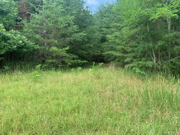 Spencer, TN 38585,Lot 754 Mustang Drive