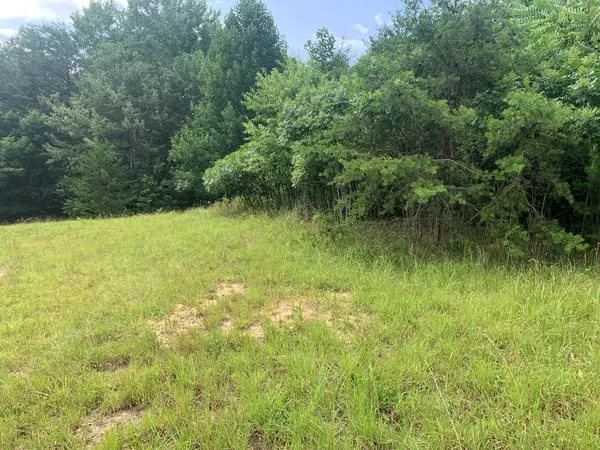 Spencer, TN 38585,Lot 754 Mustang Drive