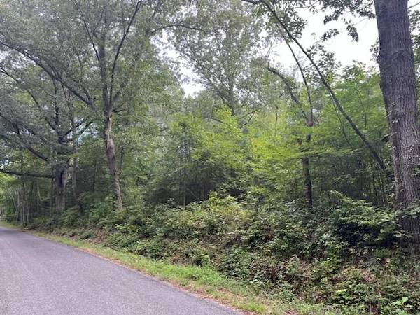 14 acres Betts Bottom RD, Heathsville, VA 22473