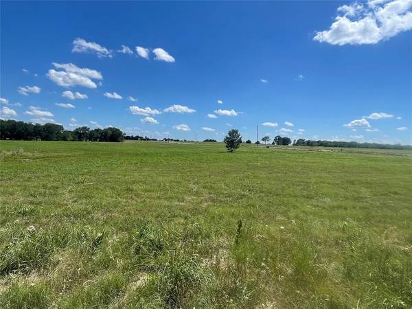 lot 18 Diamond Point, Dodd City, TX 75438