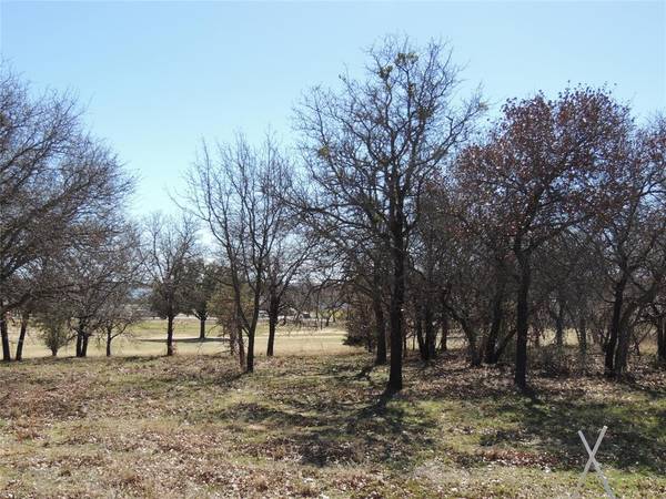 Eastland, TX 76448,173 Oakwood Trail