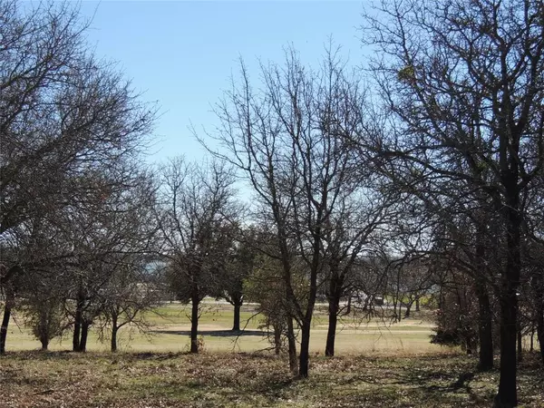 Eastland, TX 76448,173 Oakwood Trail