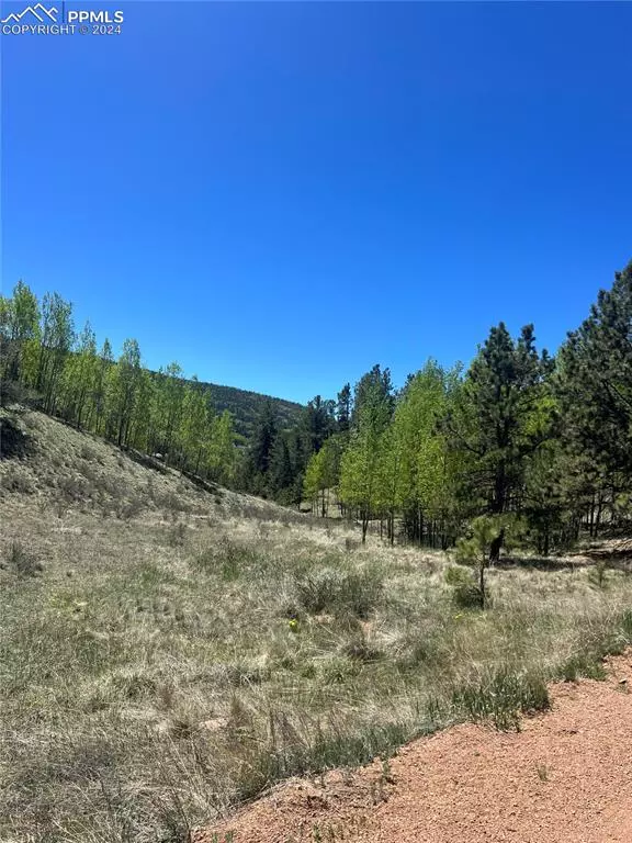 212 Wolftone DR, Cripple Creek, CO 80813