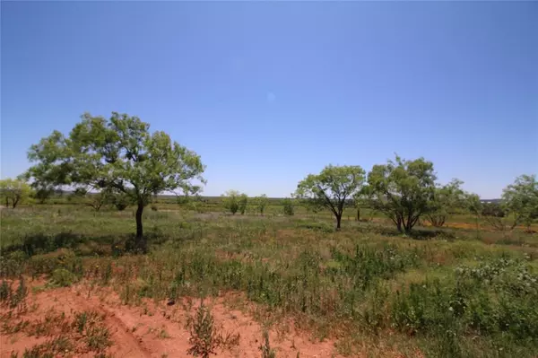 Lot 5 Marshal Trail, Tuscola, TX 79562