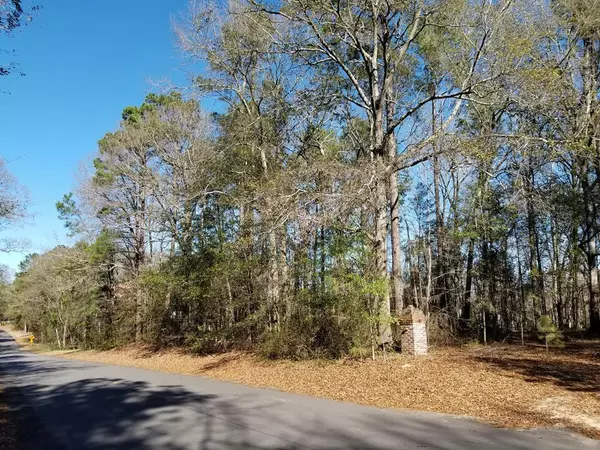 Lot 5 St. Julien Drive, Eutawville, SC 29048