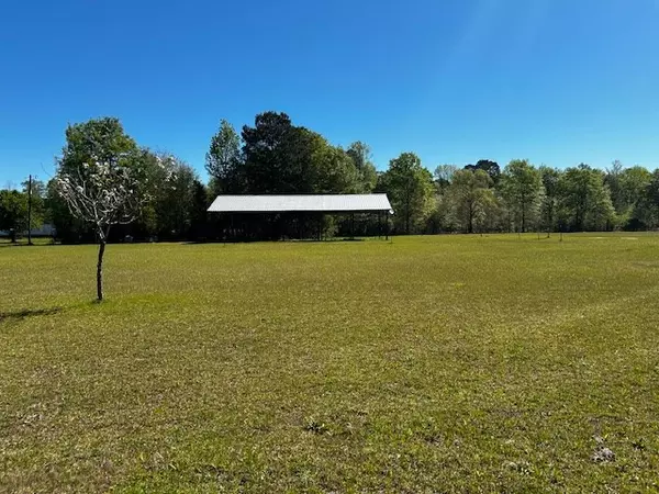 Manning, SC 29102,TBD Marlowe Drive