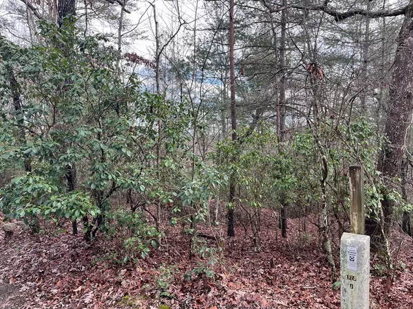 Brasstown, NC 28902,Lot 31 Fox Hunter Lane