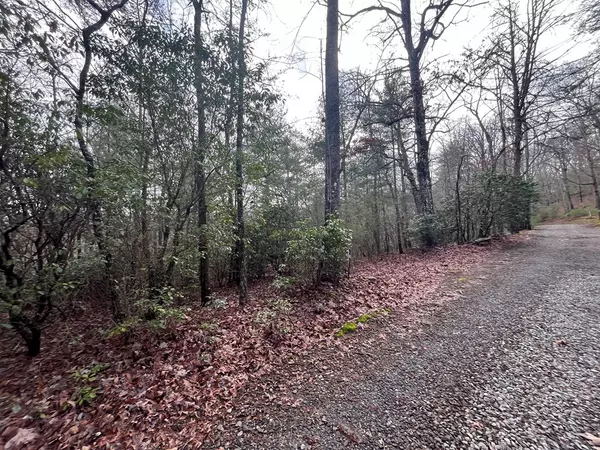 Brasstown, NC 28902,Lot 31 Fox Hunter Lane