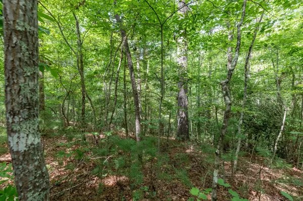 Murphy, NC 28906,Lot 18 The Ridges of Carolina